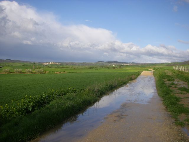 P3300108.JPG