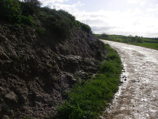 P3300109.JPG