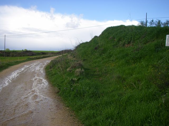P3300111.JPG