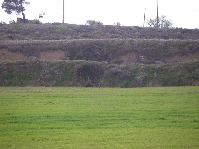 P3300112.JPG
