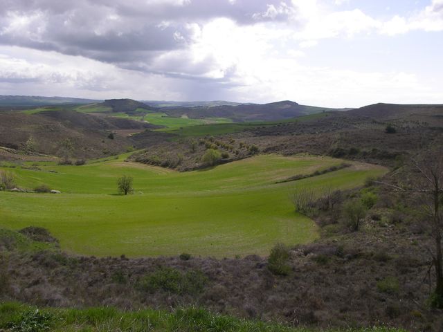 P3300125.JPG
