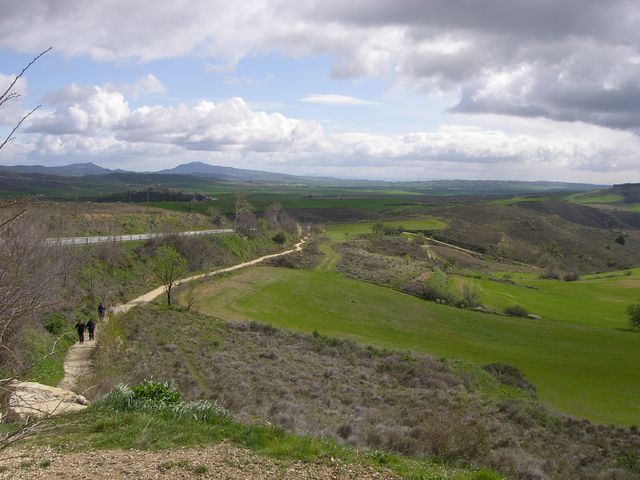 P3300126.JPG