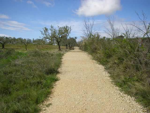 P3300127.JPG