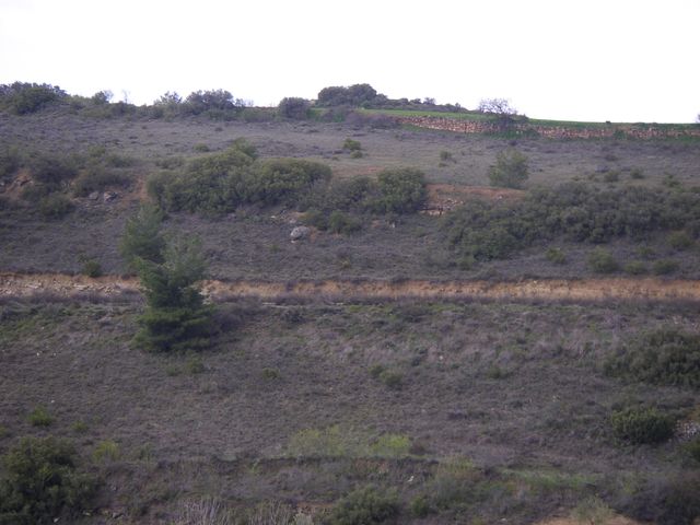 P3300129.JPG