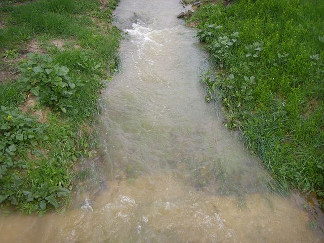 P3300130.JPG
