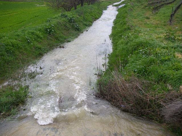 P3300131.JPG