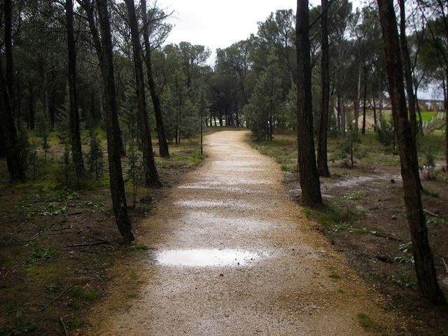 P3300141.JPG
