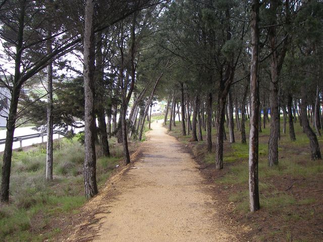 P3300143.JPG