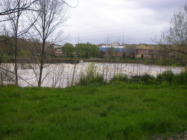 P3300145.JPG