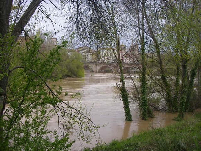 P3300146.JPG