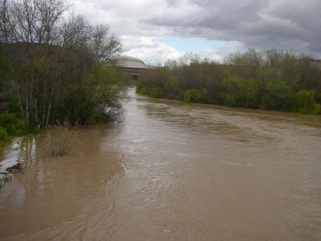 P3300148.JPG