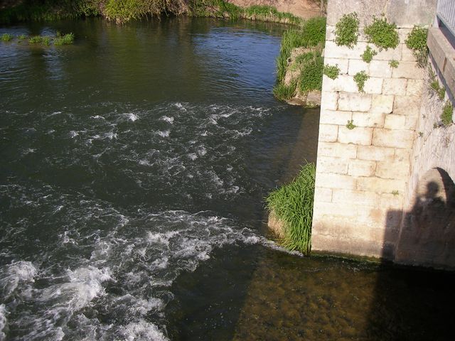 P4180192.JPG