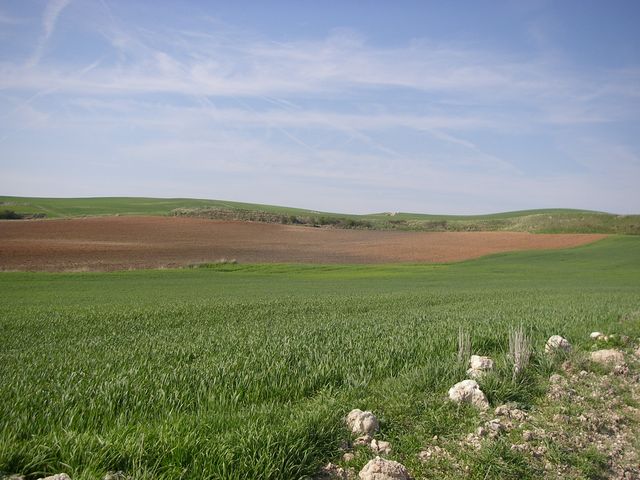 P4180198.JPG
