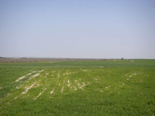 P4180202.JPG