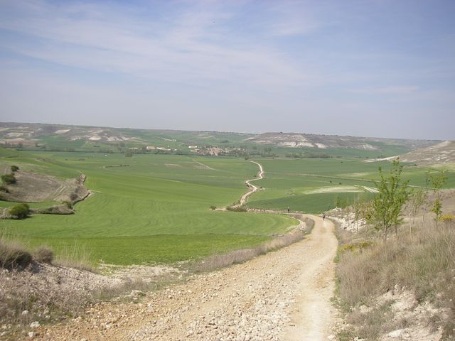P4180205.JPG