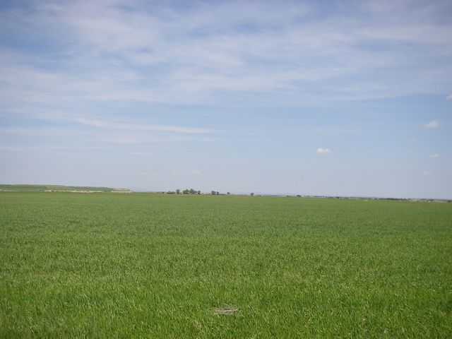P4180208.JPG