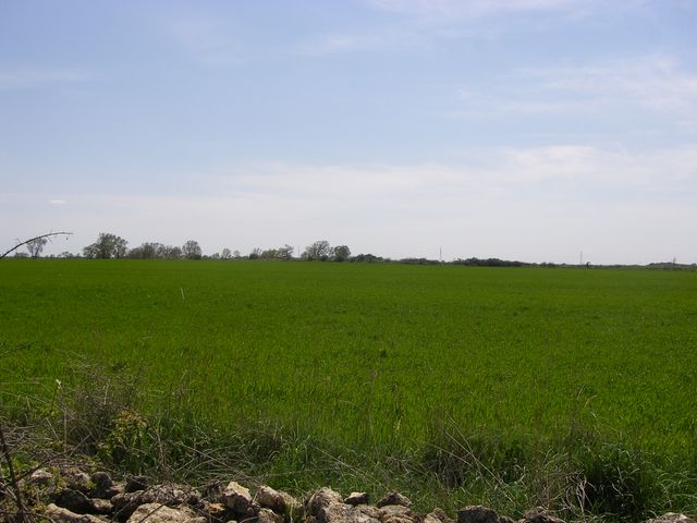 P4180210.JPG