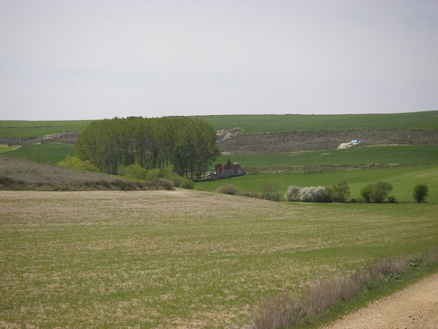 P4180211.JPG