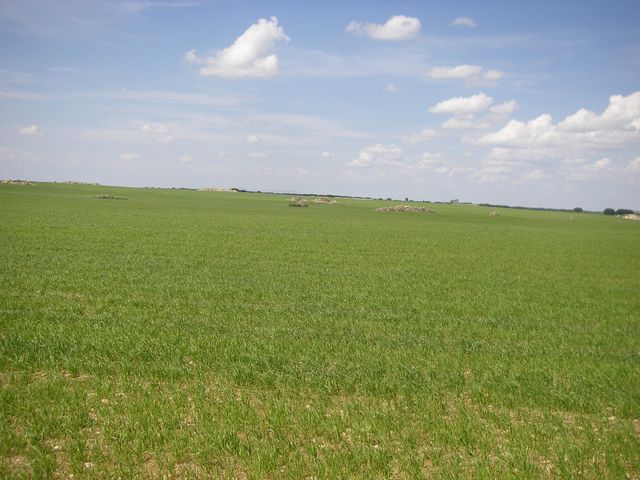 P4180215.JPG
