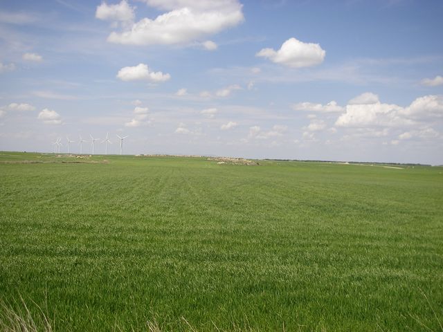 P4180216.JPG