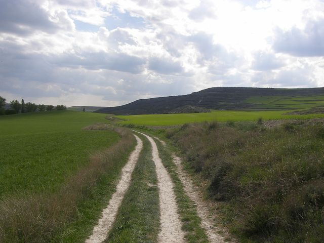 P4180221.JPG