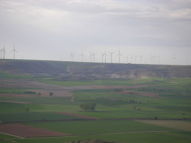 P4190244.JPG