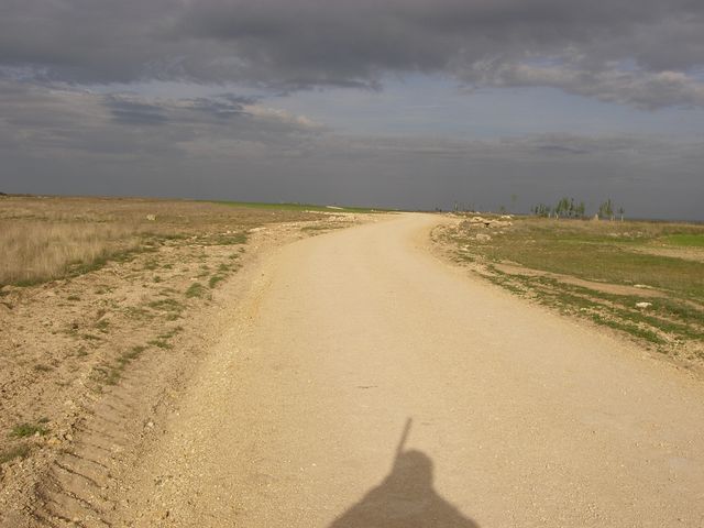 P4190253.JPG