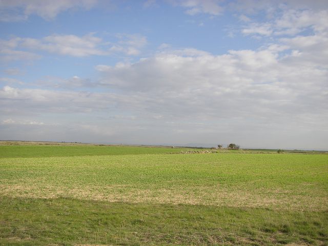P4190254.JPG