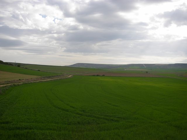 P4190259.JPG