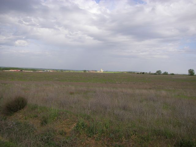 P4190261.JPG