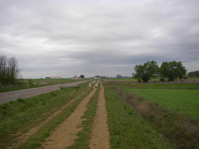 P4200318.JPG