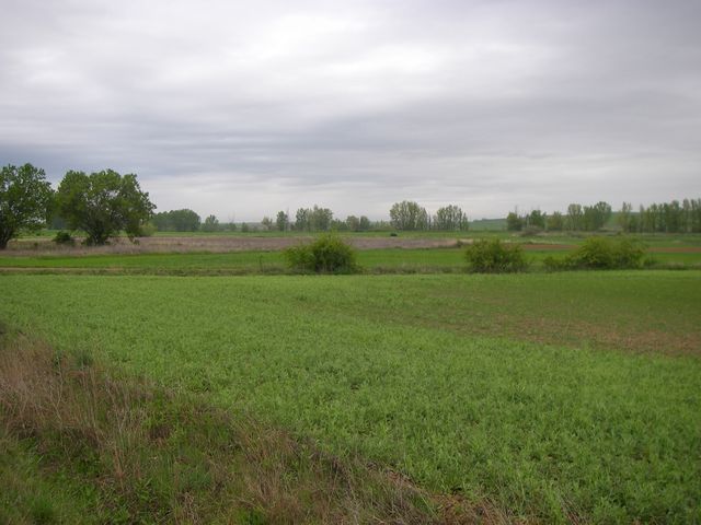 P4200319.JPG