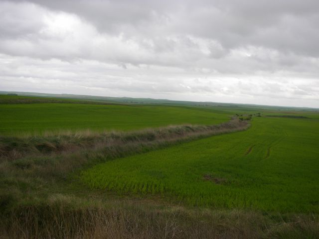 P4200327.JPG