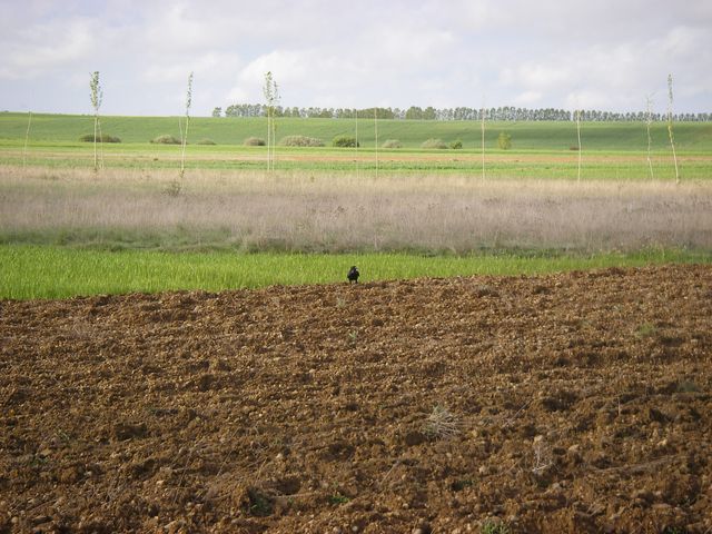 P4210358.JPG