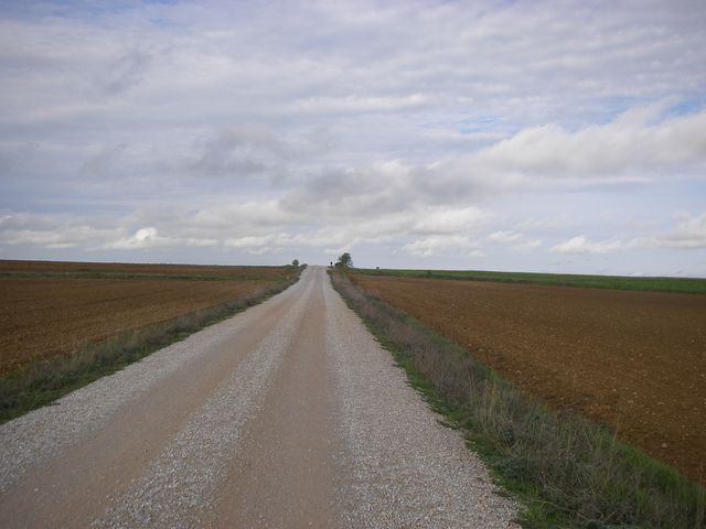P4210360.JPG