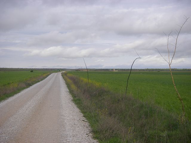P4210361.JPG