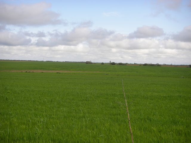 P4210362.JPG