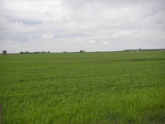 P4210363.JPG