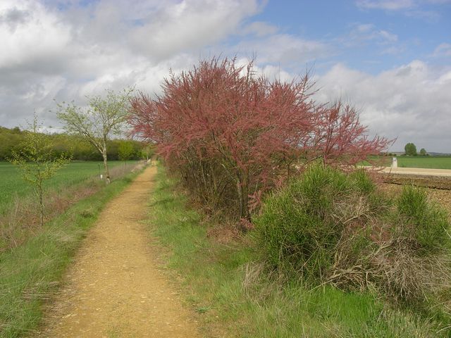 P4210365.JPG
