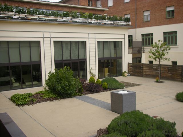 P4230379.JPG
