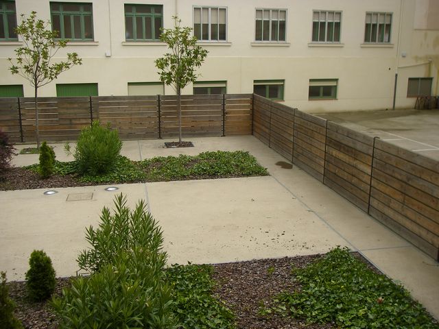 P4230380.JPG