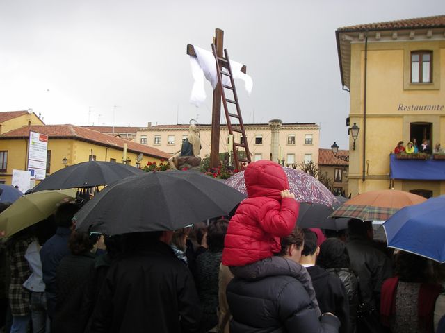 P4230387.JPG