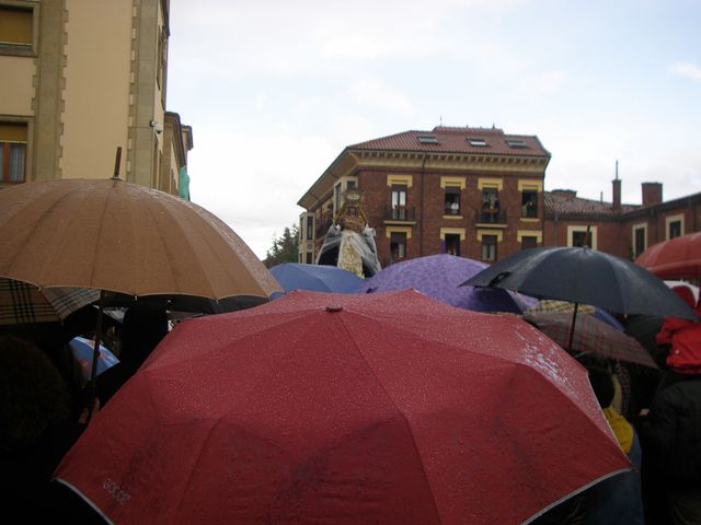P4230391.JPG