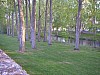 P4180189.JPG