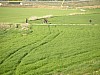 P4180190.JPG