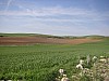 P4180198.JPG