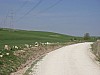P4180199.JPG