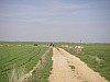 P4180200.JPG