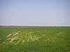P4180202.JPG