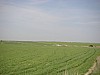 P4180203.JPG